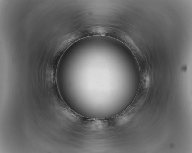 X0000094970330200711291509