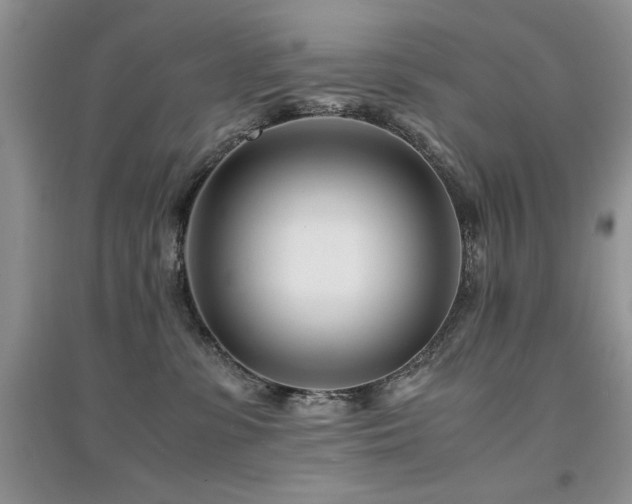 X0000094970331200711291509