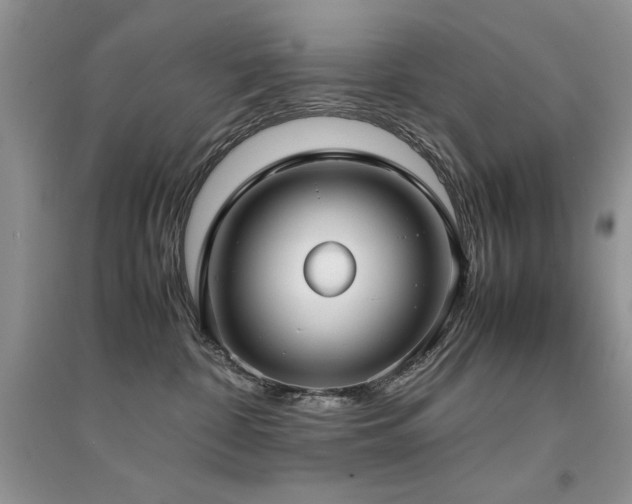 X0000094970332200711291509