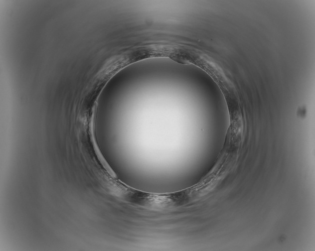 X0000094970333200711291509