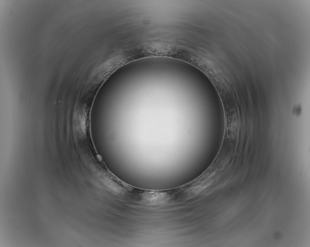 X0000094970334200711291509