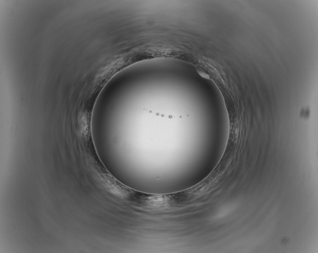 X0000094970335200711291509