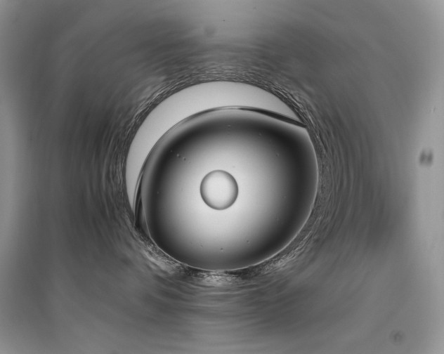 X0000094970336200711291509