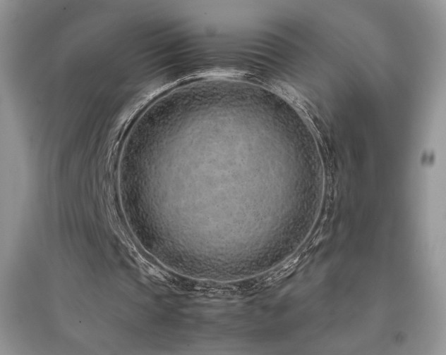 X0000094970337200711291508