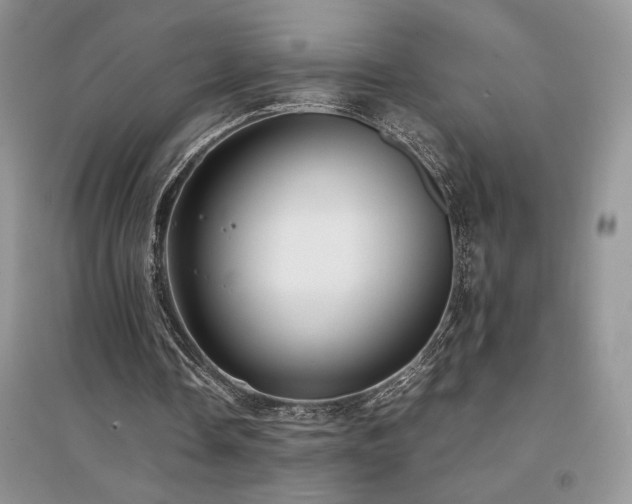 X0000094970338200711291508
