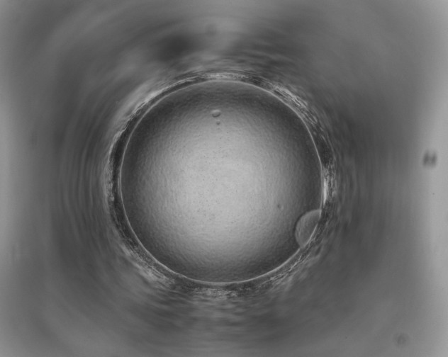 X0000094970339200711291509