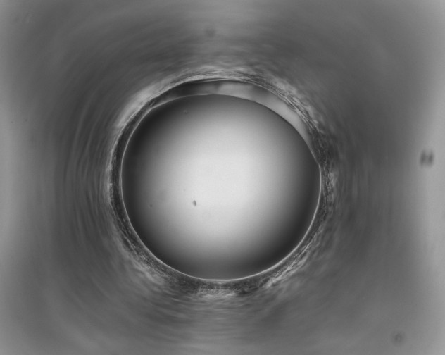 X0000094970340200711291509