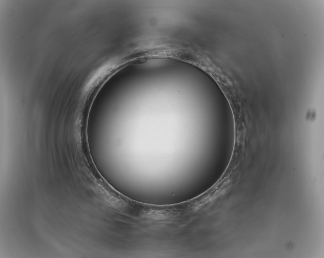 X0000094970341200711291509