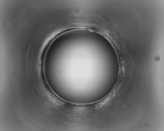 X0000094970342200711291509
