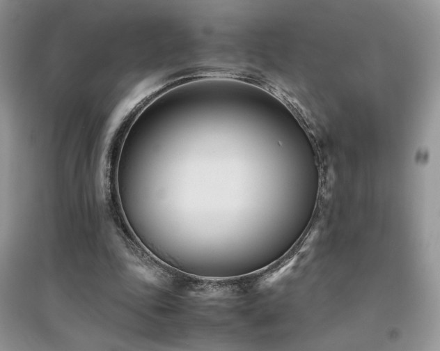 X0000094970343200711291509