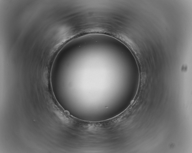 X0000094970345200711291509