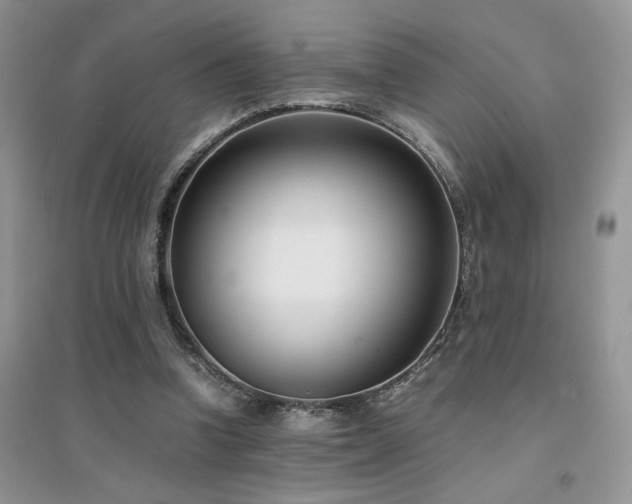 X0000094970346200711291509