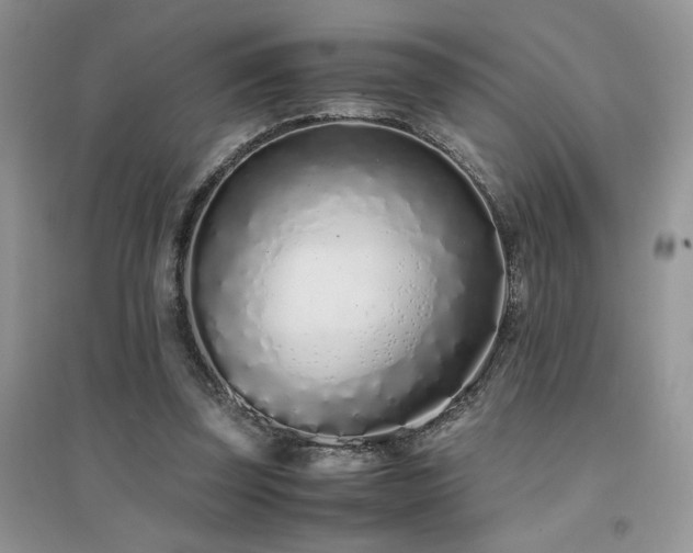 X0000094970347200711291509