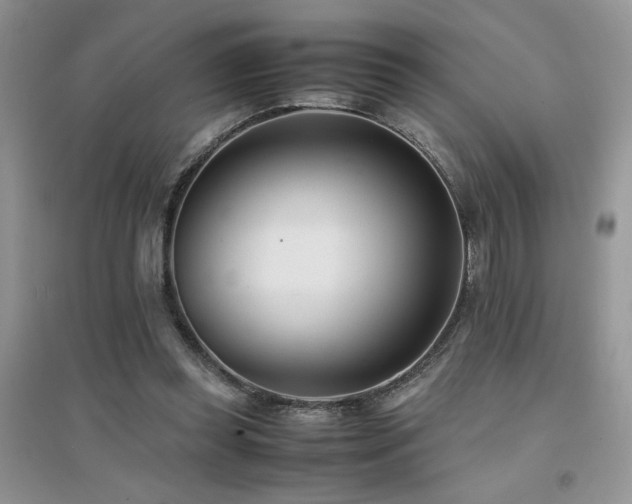 X0000094970349200711291509