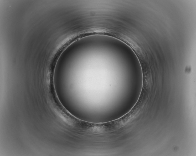 X0000094970350200711291509