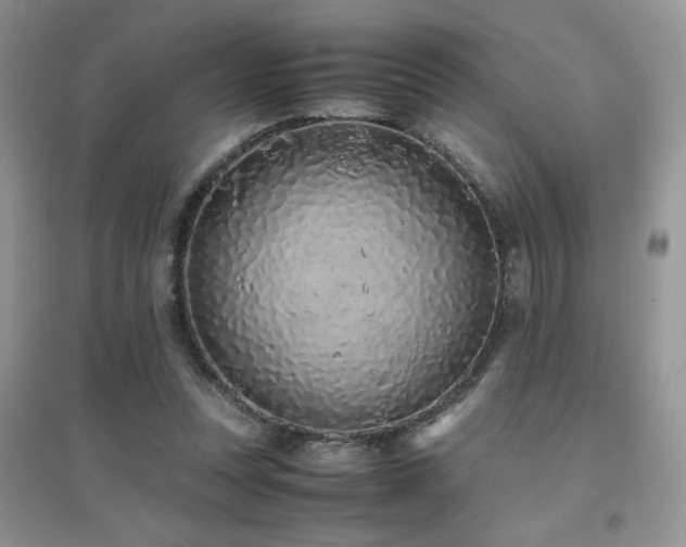 X0000094970351200711291509