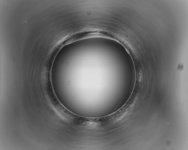 X0000094970352200711291509