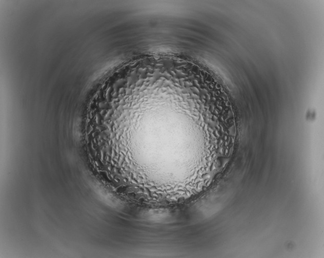 X0000094970353200711291509