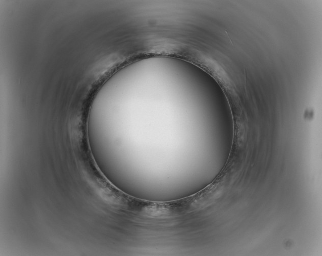 X0000094970354200711291509