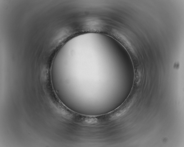 X0000094970355200711291509