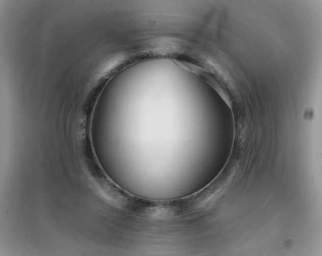 X0000094970356200711291509