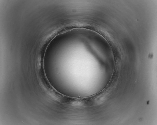 X0000094970358200711291509