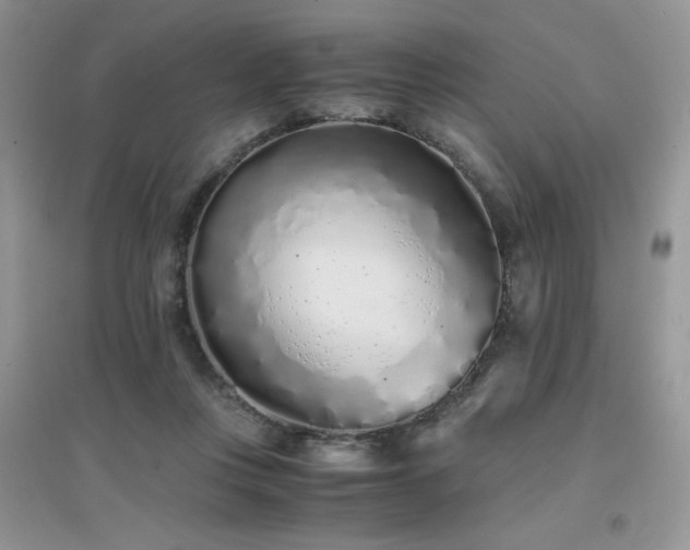 X0000094970359200711291509