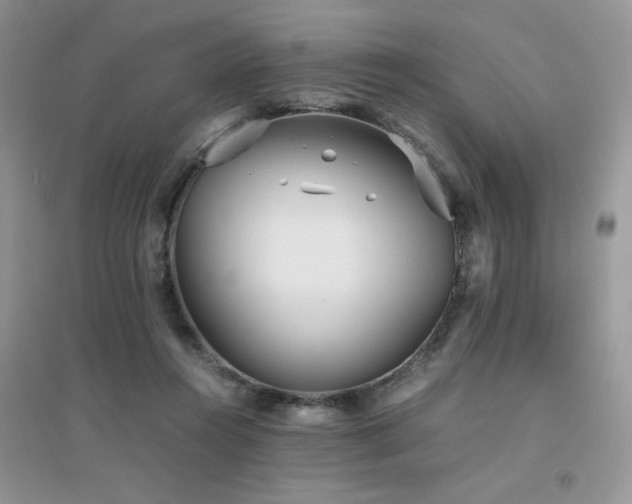 X0000094970360200711291509
