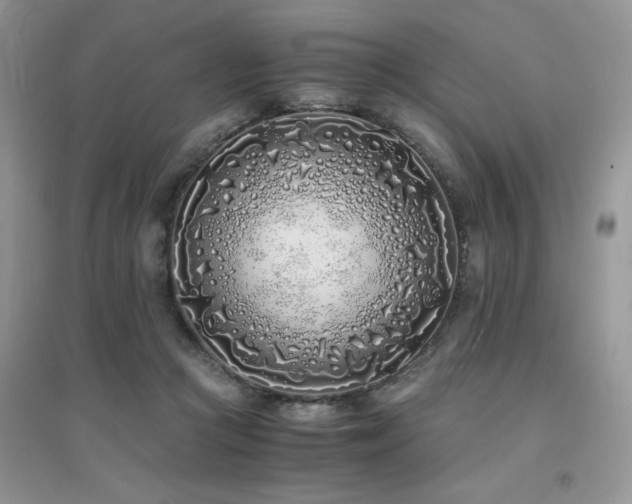 X0000094970361200711291509