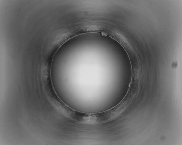 X0000094970362200711291509