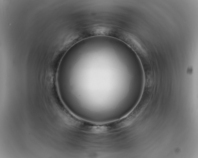 X0000094970363200711291509