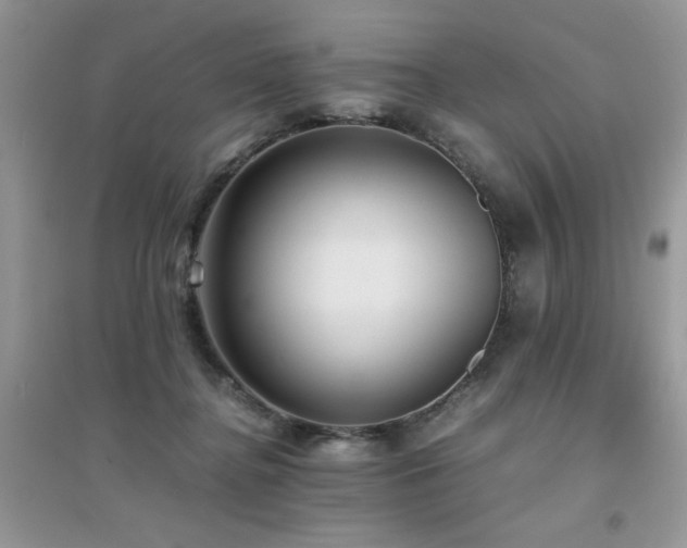 X0000094970364200711291509