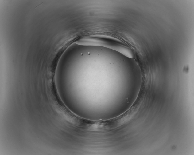 X0000094970366200711291509