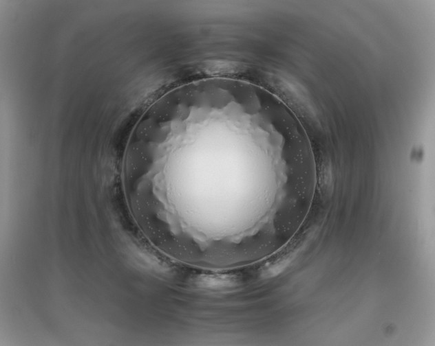 X0000094970367200711291509