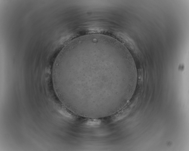 X0000094970369200711291509