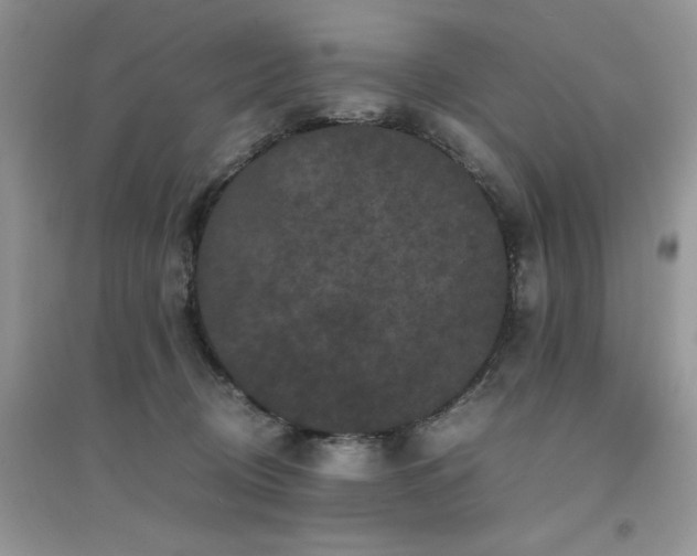 X0000094970370200711291509