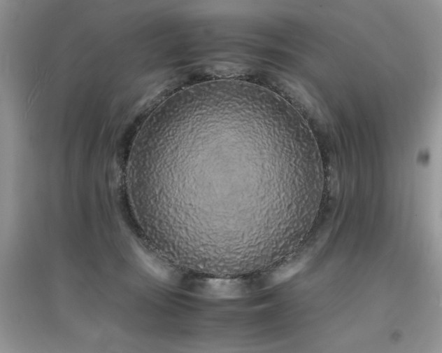 X0000094970371200711291509