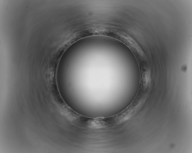 X0000094970372200711291509