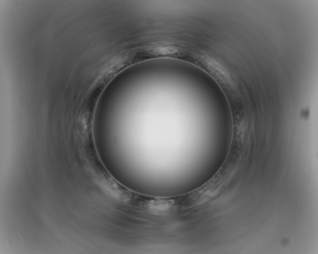X0000094970373200711291509