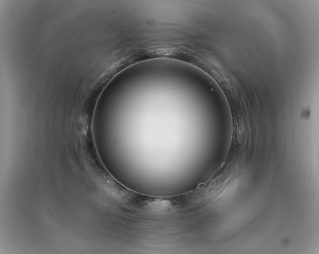X0000094970374200711291509