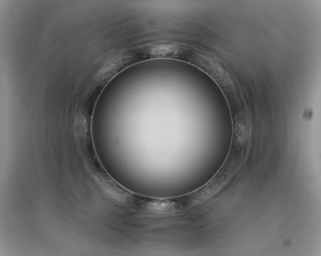 X0000094970375200711291509
