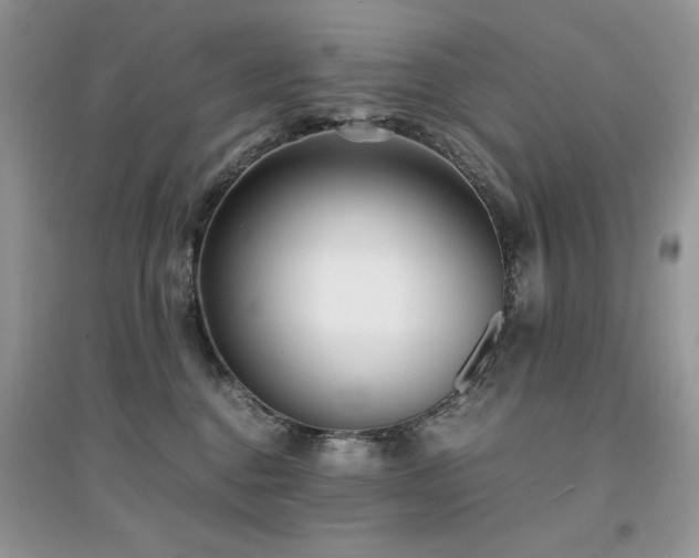 X0000094970376200711291509