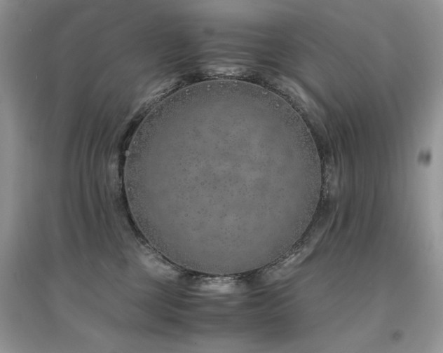 X0000094970377200711291509