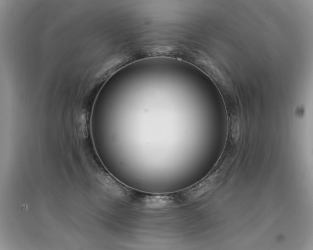 X0000094970378200711291509