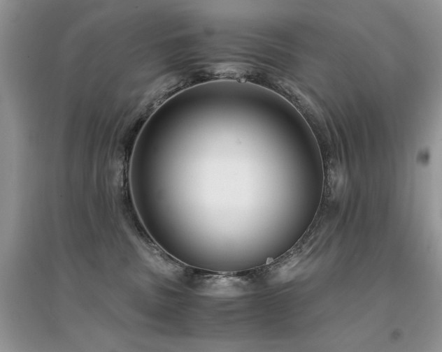 X0000094970379200711291509