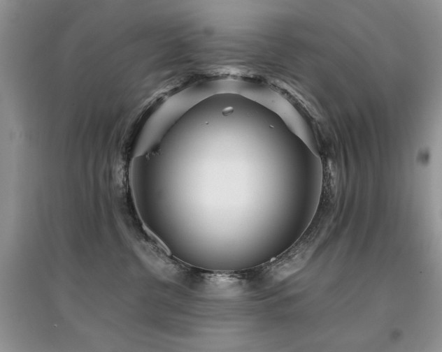 X0000094970380200711291509