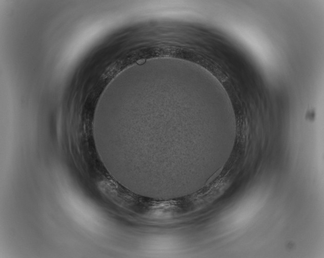 X0000094970382200711291509