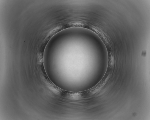 X0000094970383200711291509