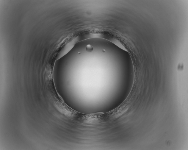 X0000094970384200711291509