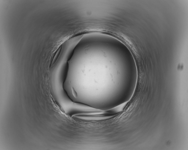 X0000094970385200711291508